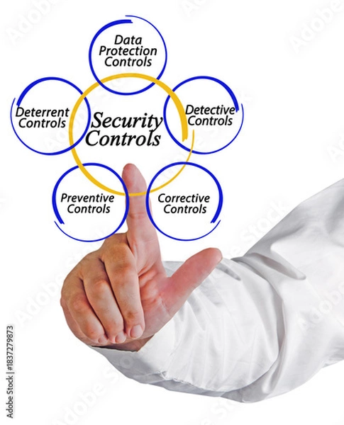 Obraz Man Presenting Five Security Controls