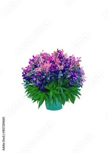 Obraz Abstract Orchid Vase