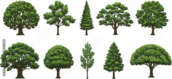 Fototapeta Set of Ten Various Green Trees, Including Oak, Pine, and Different Deciduous Species, Isolated on a White Background, Nature, Forest, Ecology, Vector