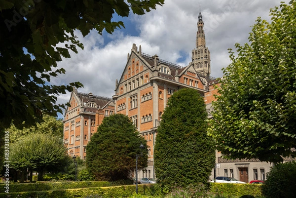 Obraz beffroi de lille