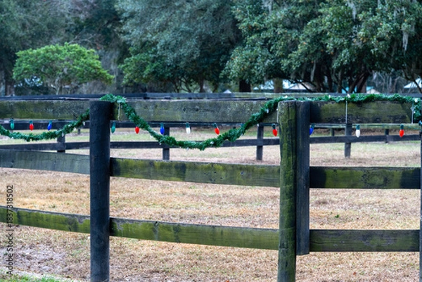 Obraz Christmas lights on a horse paddock fence