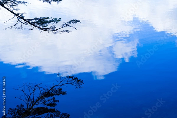 Fototapeta Tranquil Blue Water Reflecting Clouds and Tree Silhouettes