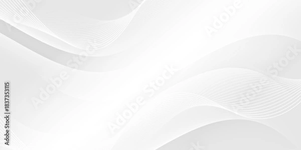 Obraz Abstract white wave vector background. Elegant dynamic waves design. Smooth and clean graphic pattern. Modern soft gradient texture. Vector Illustration