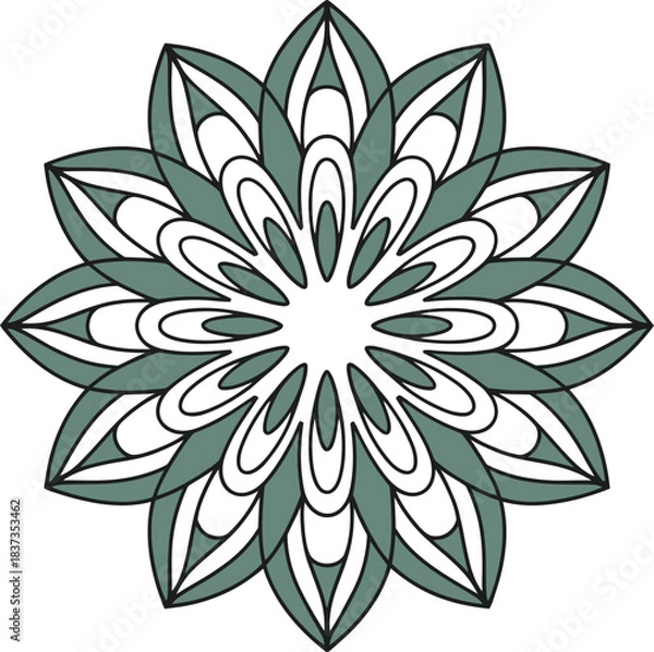 Fototapeta Stylized floral mandala pattern with geometric petals design element
