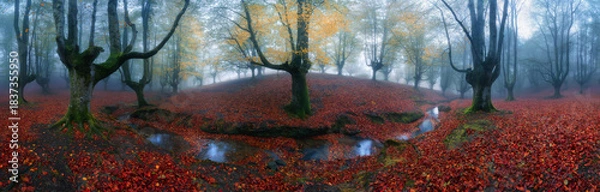 Obraz Enchanted Misty Beech Forest in Autumn