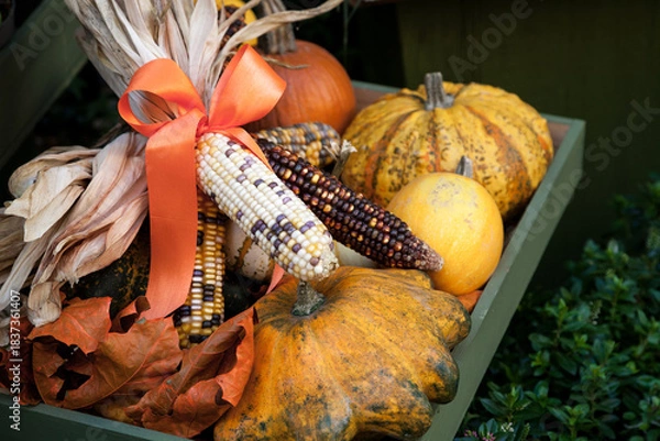 Obraz Colorful autumn vegetables