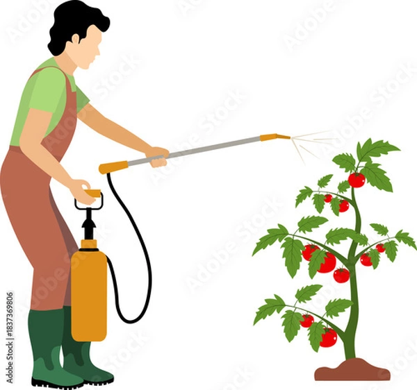 Fototapeta work_2060