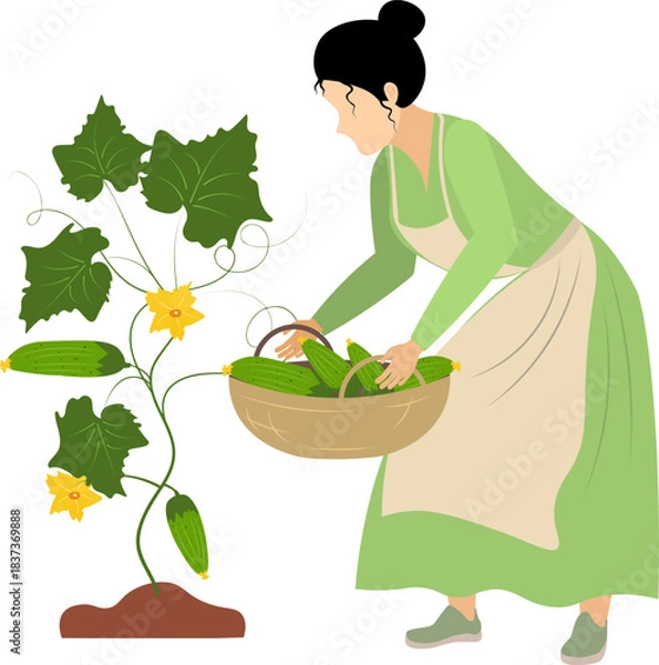 Fototapeta work_2060