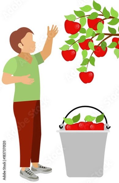 Fototapeta work_2087