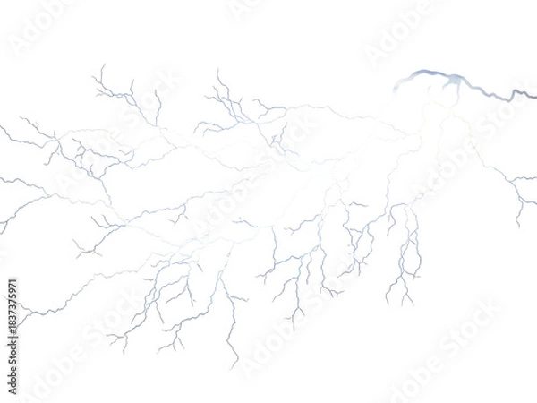 Fototapeta Vector tree with exposed roots in a grunge sketch style