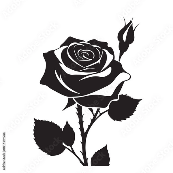 Fototapeta creative rose design using adobe illustrator and vactor ..