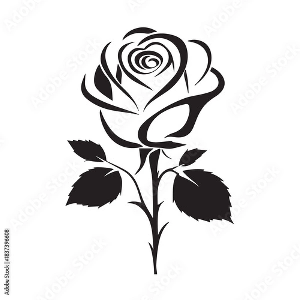 Obraz creative rose design using adobe illustrator and vactor ..