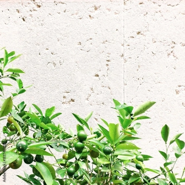 Fototapeta Background Image