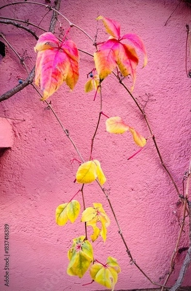 Fototapeta Otoño