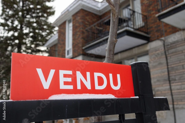 Obraz Écriteau Vendu, our, hiver, horizontal