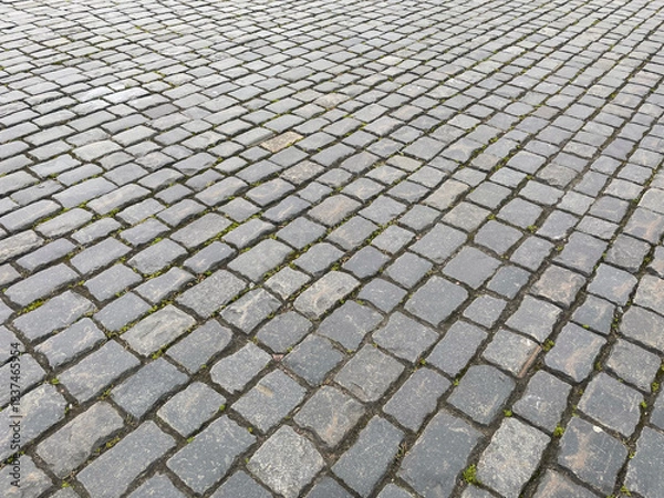Obraz Abstract background. Old cobblestone pavement closeup