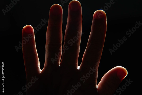 Fototapeta Open Hand in Intense Backlight