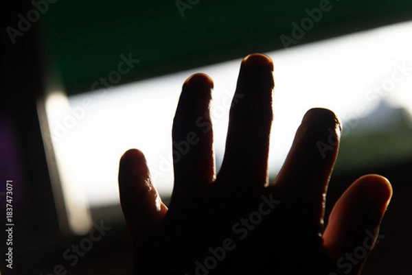 Fototapeta Hand Outstretched Against Illuminated Window