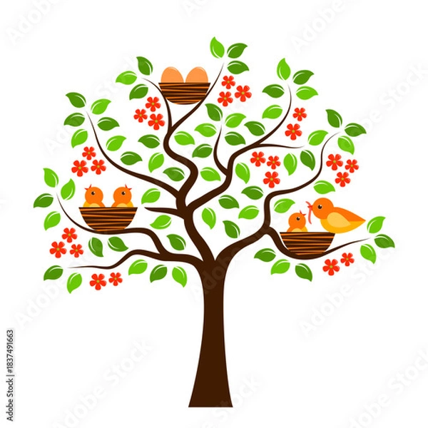 Fototapeta flowering tree with birds and eggs in nests isolated on white background