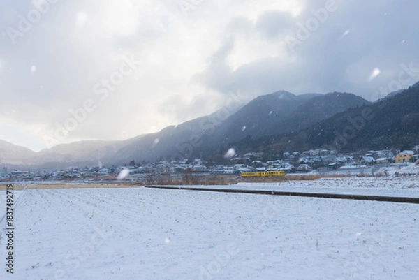 Obraz 湯布院の雪景色（大分県由布市湯布院）