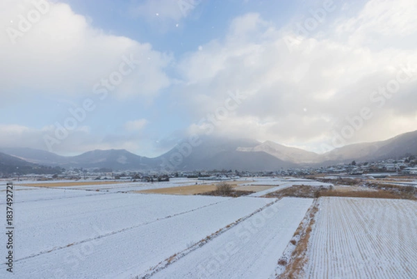 Obraz 湯布院の雪景色（大分県由布市湯布院）