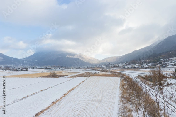 Obraz 湯布院の雪景色（大分県由布市湯布院）