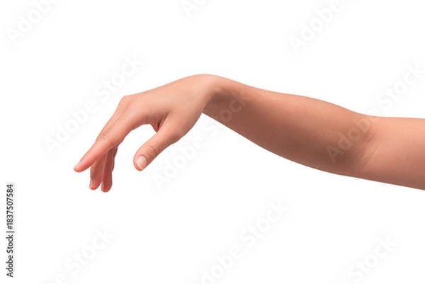 Fototapeta Close-up of a beautiful empty hand gesture isolated on a transparent PNG. High quality studio shot.
