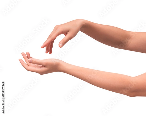 Fototapeta Close-up of beautiful empty hand gesture isolated on a transparent PNG. High quality studio shot.
