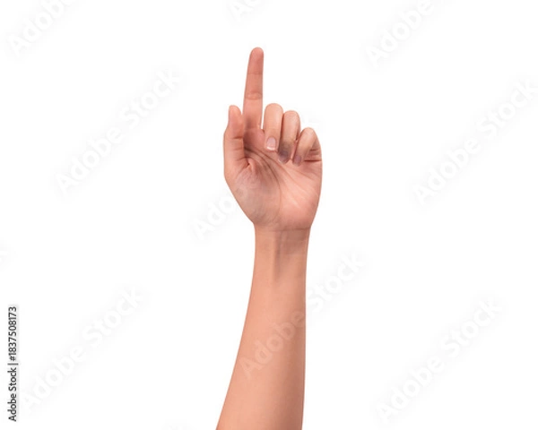 Fototapeta Close-up of a beautiful empty hand gesture isolated on a transparent PNG. High quality studio shot.
