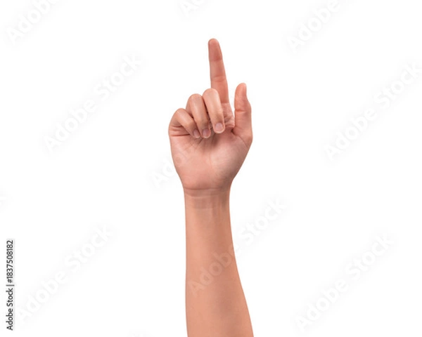 Fototapeta Close-up of a beautiful empty hand gesture isolated on a transparent PNG. High quality studio shot.

