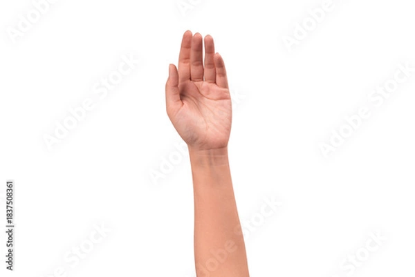 Fototapeta Close-up of a beautiful empty hand gesture isolated on a transparent PNG. High quality studio shot.
