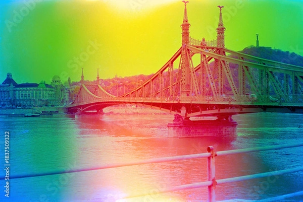 Obraz Liberty Bridge in Budapest