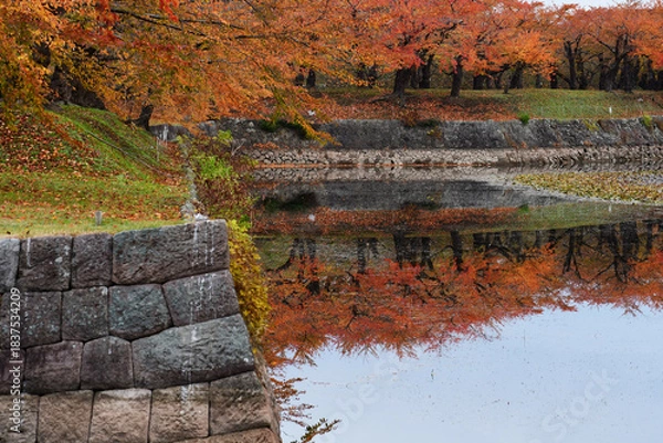 Obraz 五稜郭の紅葉と堀