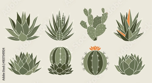 Obraz Succulent plants collection in flat style