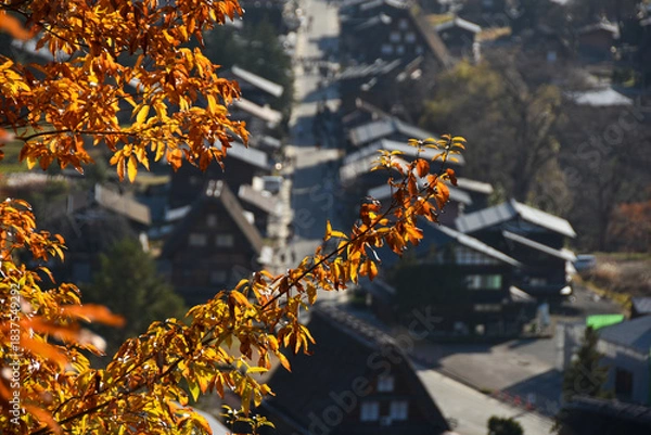 Obraz 秋の白川郷