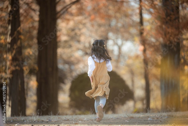 Fototapeta 秋の紅葉の公園を元気に走る女の子の笑顔・無邪気さを捉えた明るい子ども 顔無しの後ろ姿