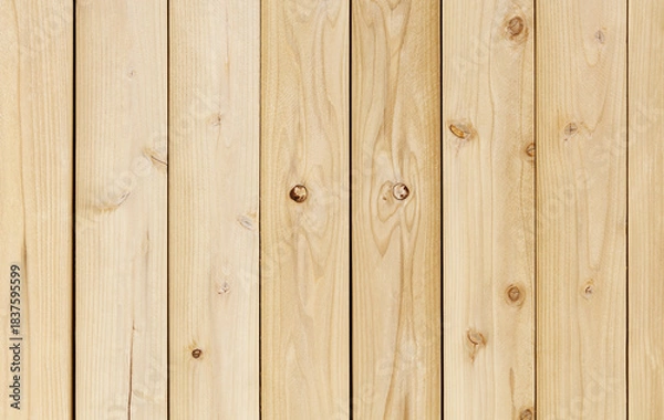 Obraz wooden plank