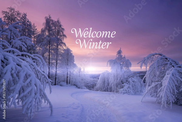 Obraz Snowy winter wonderland landscape with snow covered trees and a path leading into the distance under a pastel sky welcoming the serene season.