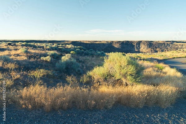 Fototapeta Flat plains dotted with sagebrush and scrub plants extending out to the horizon under a clear blue sky, split in the middle distance by the massive Snake River Canyon just barely visible.
