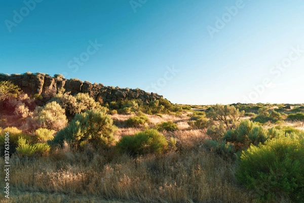 Fototapeta High flat desert plains, dotted by sage brush and other scrub plants, extending into the distance under a clear blue sky, with long shadows from late afternoon. 