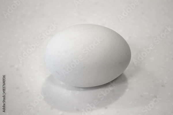 Obraz white egg