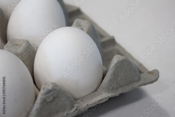 Obraz white egg