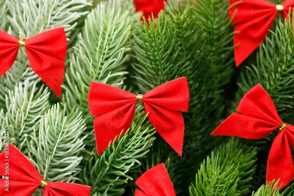 Obraz Red ribbons with pine branches, Christmas tree concept.