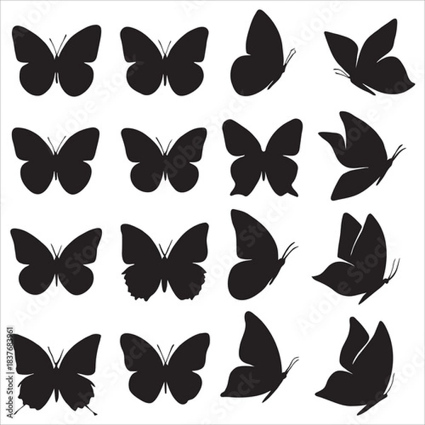 Obraz Set of Butterfly Silhouettes and Icons: Black Vector Graphics for Nature, Spring, Freedom, and Beauty