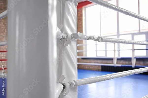 Obraz Boxing ring ropes in gym, closeup