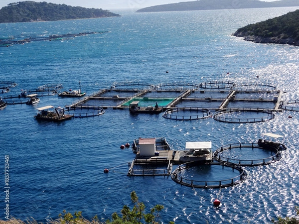Obraz Grèce, ferme de pisciculture