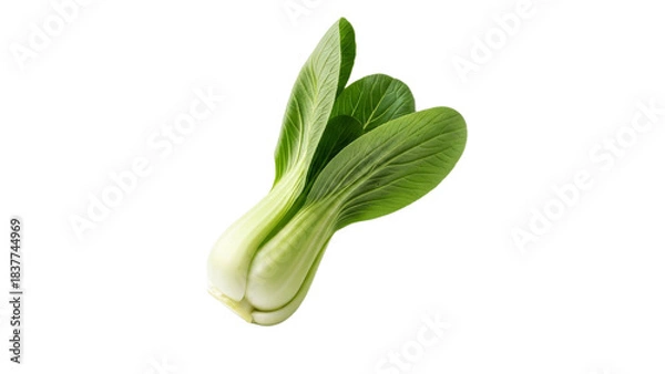 Obraz Delicate Bok Choy Elegance: A Pristine Studio Shot Showcasing Vibrant Green Leaves and Crisp White Stems on a Minimalist Backdrop