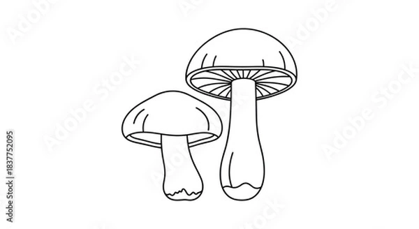 Fototapeta A simple black line art illustration of two mushrooms, one large and one small, perfect for a coloring book page.