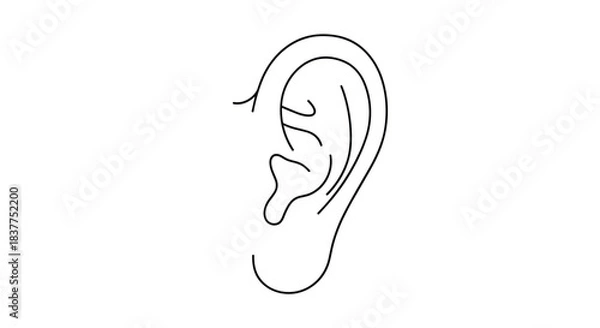 Fototapeta A clean and simple black line art illustration of a human ear, showing the basic anatomical contours and shape on a white background.