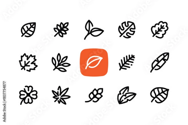Obraz Simple outline leaf icon set